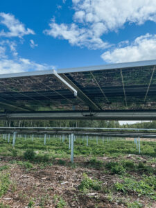 Põllumehe Teataja Aprill 2024: Salvestamine annab sõltumatuse