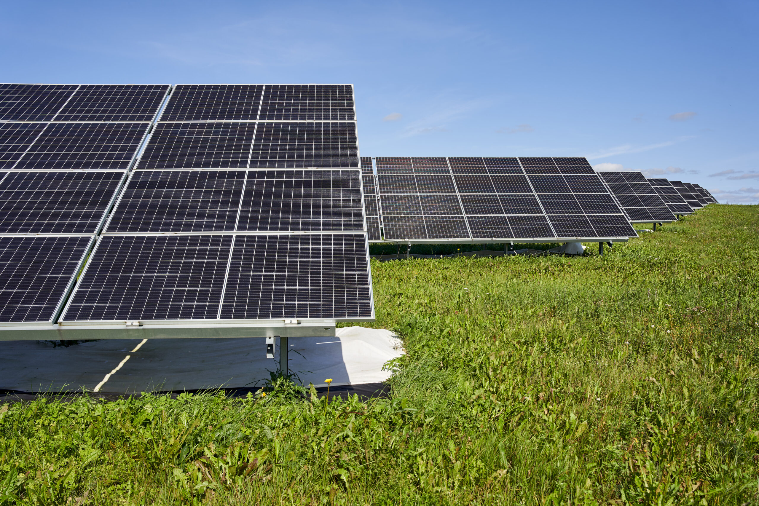 Evecon avas Valga lähedal Lõuna-Eesti suurima päikesepargi