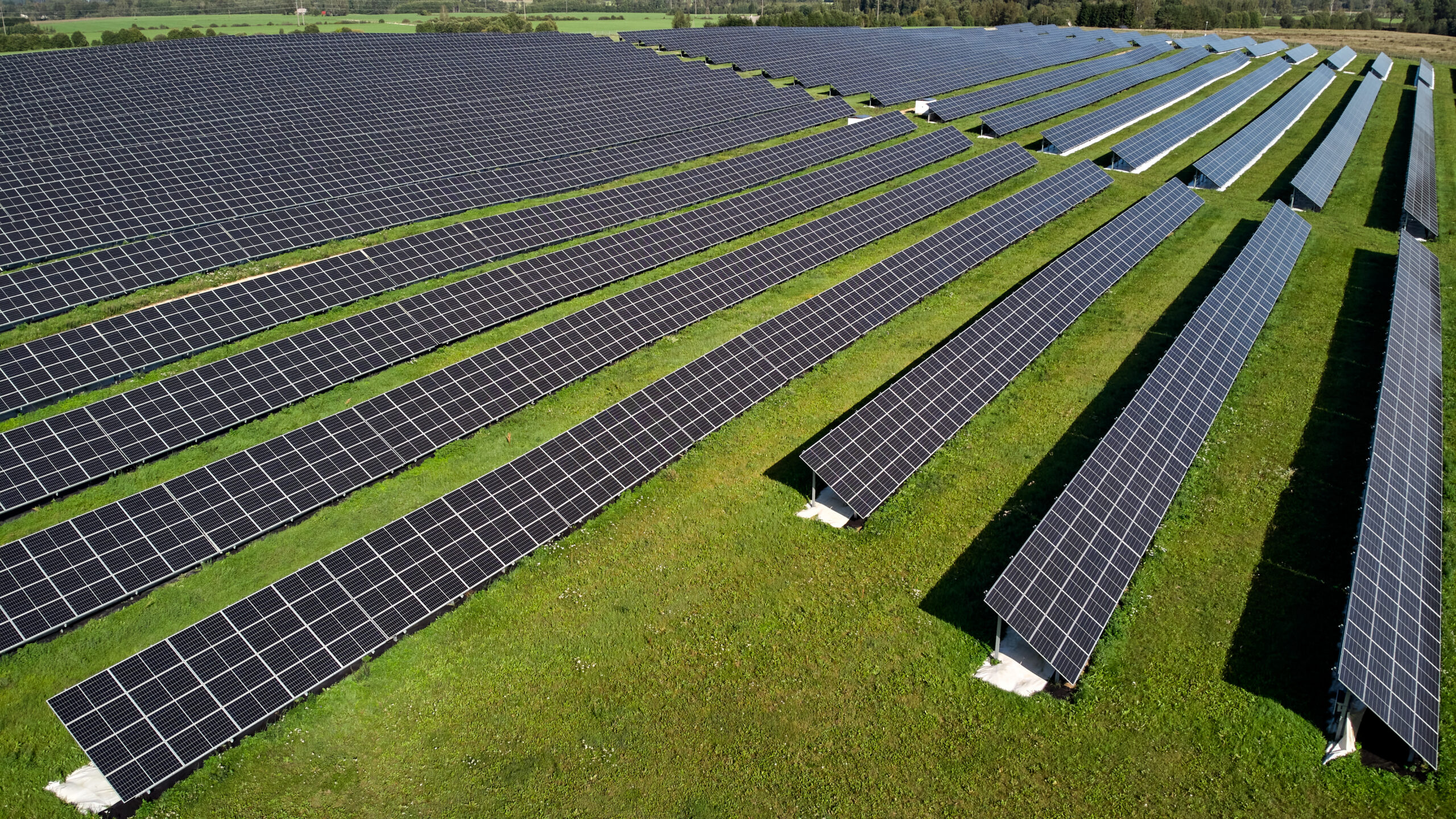 Päikesepargid ei kahjusta loodust ega ka Eesti toidujulgeolekut